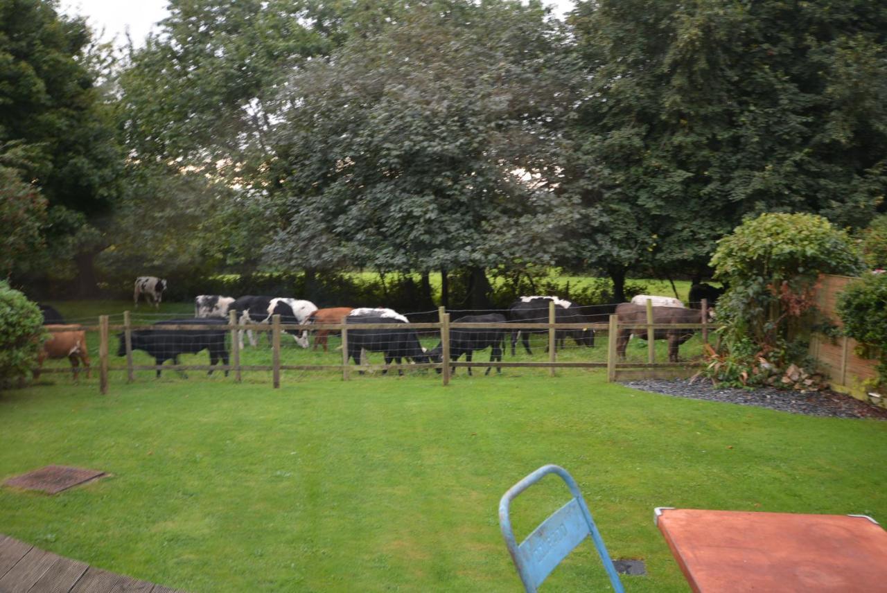 Bed and Breakfast Walton Crescent Winford Exterior foto